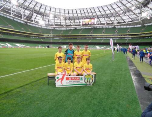 Aviva Stadium FAI 5-a-side Soccer Competition