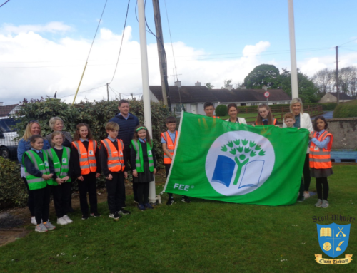 Green Schools Celebration