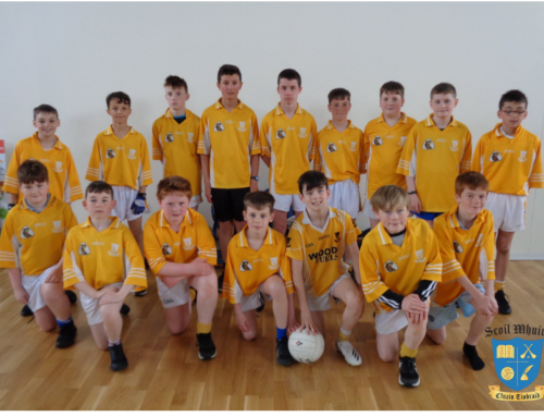 Cumann na mBunscol Boys Football Final