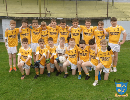 Cumann na mBunscol Final